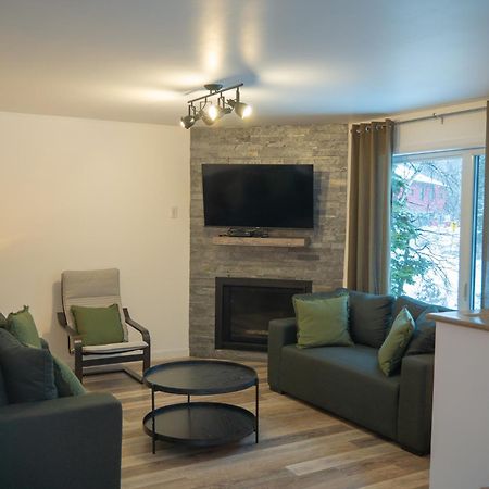 Cottage Quebec - Olivine Петит-Ривиер-Сен-Франсоа Екстериор снимка